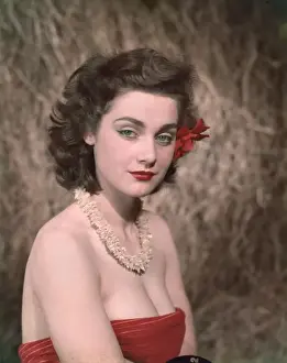 HIBISCUS GIRL 1950S 3 / 4