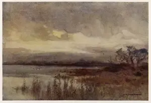 Hickling Broad