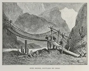 Darwin200 Prints: Hide bridge illustration