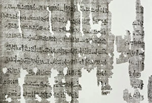 Script Collection: Hieratic papyrus. Process document. Conspirator death lawsui