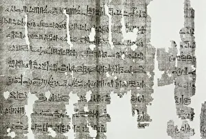 Rameses Prints: Hieratic papyrus. Process document. Conspirator death lawsui
