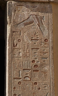 Ansata Gallery: Hieroglyph on the walls of the Temple of Hatshepsut. At the