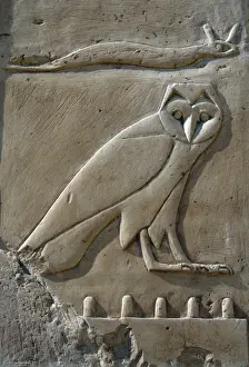 Horns Prints: Hieroglyphic. Relief depicting consonant sounds. The f (ho