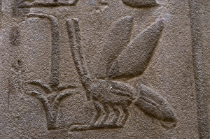 Hieroglyphic writing