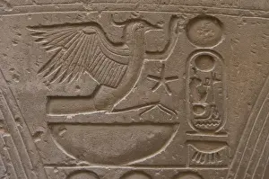 Hieroglyphic writing