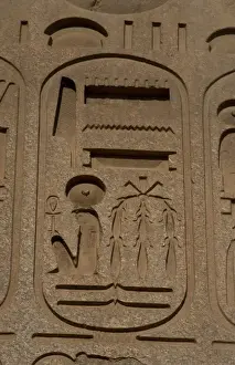 Hieroglyphic writing. Cartridge wirh the royal protocol of R