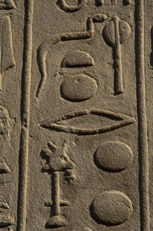 Writting Gallery: Hieroglyphic writing. Egypt