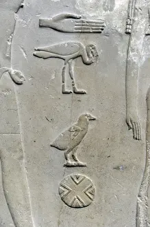 Hieroglyphic writing. Relief detail from the tomb of Princes