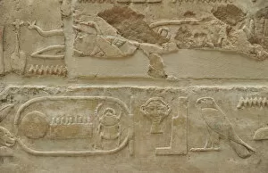 Hatshepsut Collection: Hieroglyphics. Relief. From the Temple of Queen Hatshepsut