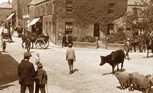 High Bentham Cattle Market early 1900s
