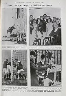 Stunts Collection: High Diving Horse