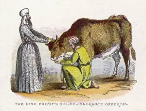 Sins Prints: High Priests Sacrifice