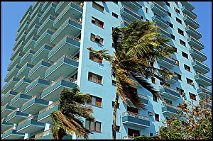 Rise Prints: High Rise buildings-palms, Havana, Cuba