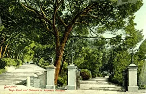 Alameda Prints: High Road and Entrance to Alameda Gardens, Gibraltar