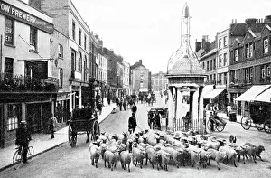 Chelmsford Prints: High Street, Chelmsford early 1900's
