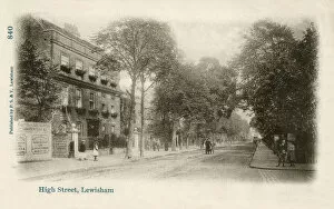 Tree Lined Collection: The High Street, Lewisham, south east London
