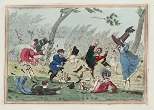 A high wind in the park