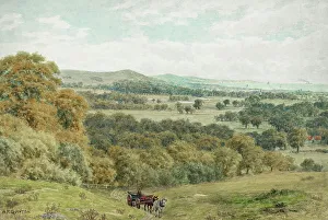 Worthing Prints: Highdown Hill, South Downs, near Worthing, Sussex