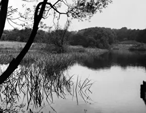 Highgate Pond