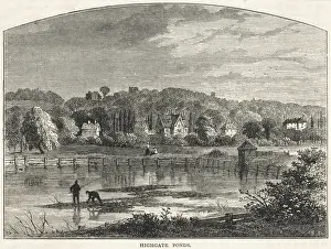 Highgate Ponds