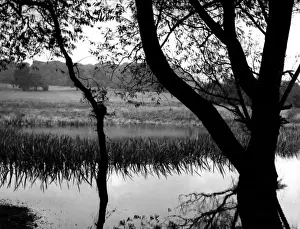 Highgate Ponds