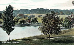 Ponds Collection: Highgate Ponds, Highgate, North London