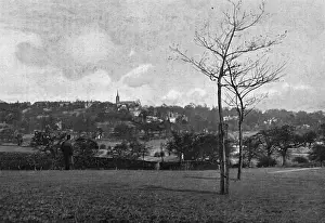 Highgate View