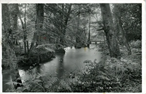 Highland Water, New Forest National Park, Hampshire