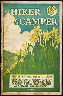 Daffodils Gallery: Hiker & Camper Mag / 4.31