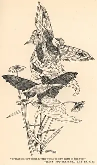 Hilda Miller 4