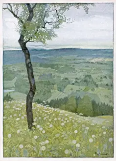 Hill View, Illustration