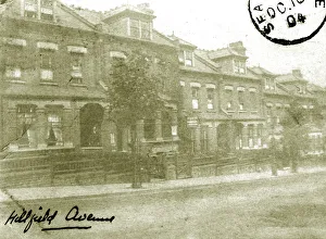 Wentworth Postcard Collection Gallery: Hillfield Avenue