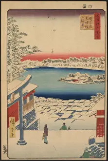 Hilltop view, Yushima Tenjin shrine
