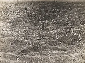Hindenburg Line WWI