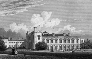 Hinton Prints: Hinton St George, Somerset