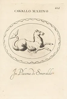 Chimera Prints: Hippocamp, sacred animal chimera of Neptune