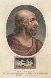 Bald Gallery: Hippocrates / Chapman / Col