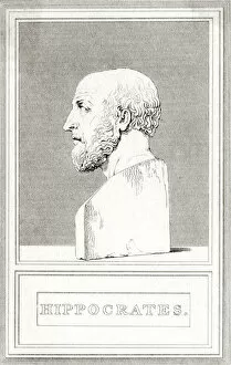 357bc Gallery: Hippocrates / Cooke