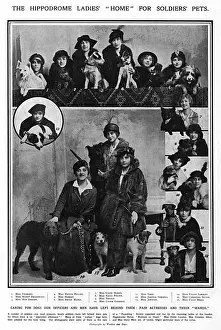 Unity Prints: Hippodrome ladies home for soldiers pets, WW1