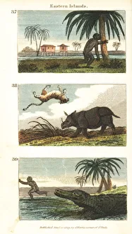 Images Dated 5th April 2020: Historical views of the Eastern Islands (Indonesia)