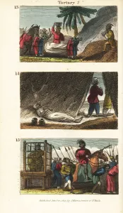 Siberia Collection: Historical views of Tartary