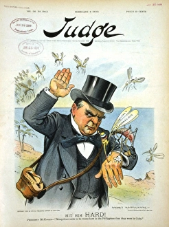 Mckinley Gallery: Hit him hard! President McKinley - Mosquitoes seem to be wor