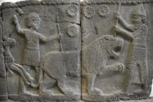 Pergamon Gallery: Hittite art. Orthostat. 8th century BC. Relief: Hunting a li