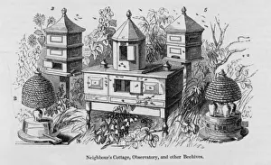 Hives Prints: Hives at Gt Exhibition