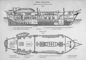 Research Gallery: Hms Beagle / Darwins Ship