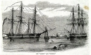 Masts Collection: HMS Erebus and HMS Terror, Franklin expedition