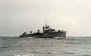 Destroyer Prints: HMS Vidette, British destroyer