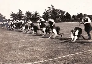 Hobble Prints: The Hobble and Poddle Race