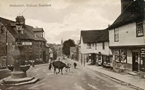 Bishops Prints: Hockerhill, Bishops Stortford, Hertfordshire