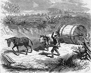 Hogshead of Tobacco